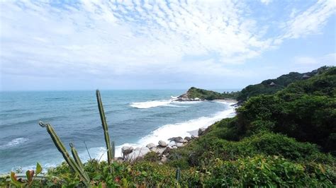 Is Tayrona worth visiting for wildlife and nature? (Yes.) - Shoestring ...