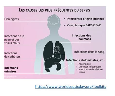 Septicémie Quels Sont Les Causes Les Symptômes Et Les Traitements