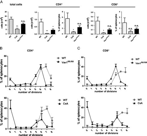 Vav Gef Function Affects Allogeneic T Cell Proliferation In A Systemic