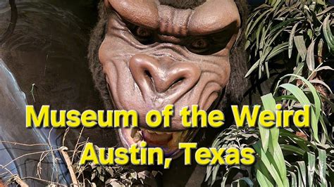 Museum Of The Weird Horror Wax Figure Exhibit Austin Texas Youtube