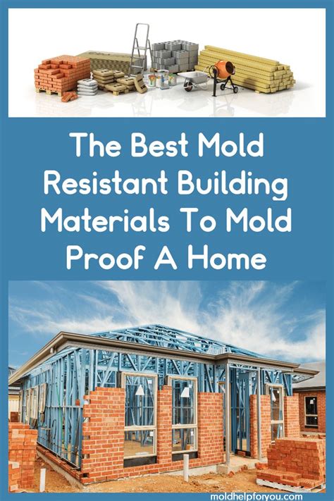 Mold Resistant Paint Mold Resistant Drywall Mold Resistant Insulation