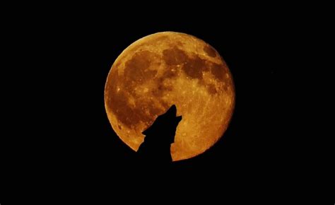 Luna llena enero 2024 Cuándo y a qué hora ver la luna de lobo en