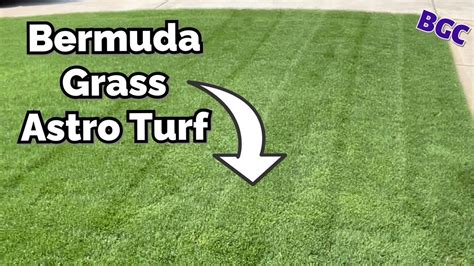 Bermuda Grass Astro Turf How To Get Youtube