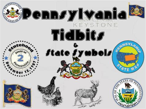 Pennsylvania Tidbits And State Symbols Teaching Resources