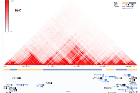 3D Genome Browser Visualize Hi C ChIA PET HiCHiP PLAC Seq Capture