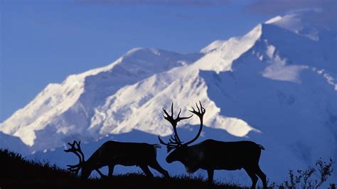 Alaska Backgrounds - Wallpaper Cave