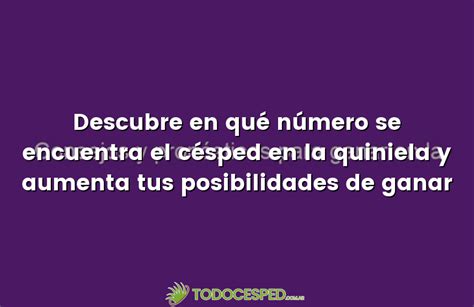 Descubre En Qué Número Se Encuentra El Césped En La Quiniela Y Aumenta