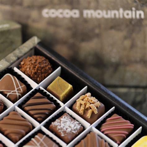 CLASSIC 20 MILK Chocolate Collection [Featured Products from Cocoa ...