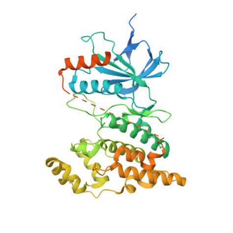 RCSB PDB 8ENJ Design Synthesis Biological Evaluation And X Ray