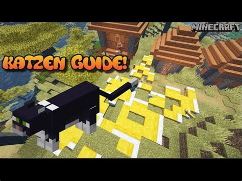 Minecraft Katze Tutorial Guide Java Version Youtube