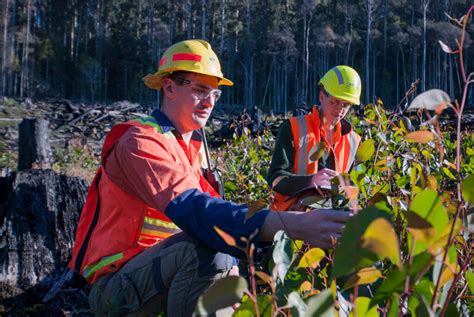 Our Programs Forest Education Foundation