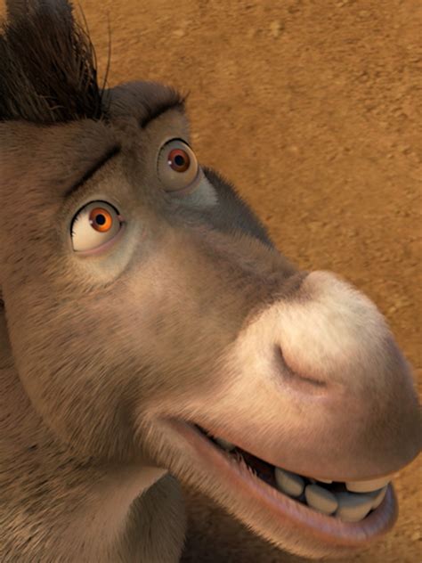 Donkey Smiling Shrek