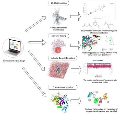 Insight Parameter Drug Design For Human Tryptase Inhibition