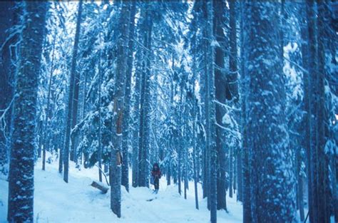 Fisher Peak - Winter Climb