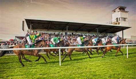 Horse racing 2025 calendar: biggest UK and global horse races