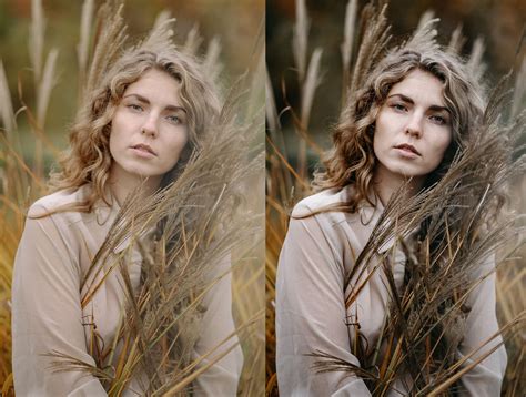 12 X Lightroom Presets Boho Chic Vol2 Presets Portrait Presets Filtergrade