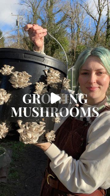 Grow Your Own Mushrooms Artofit