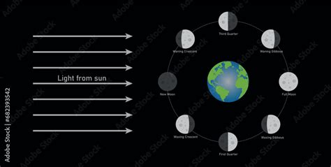 Phase Of The Moon Diagram The Moon Orbits Around The Earth Third