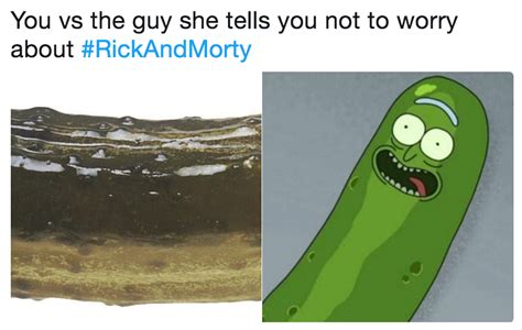 You Vs The Guy She Tells You Not To Worry About Rickandmorty Pickle Rick Know Your Meme