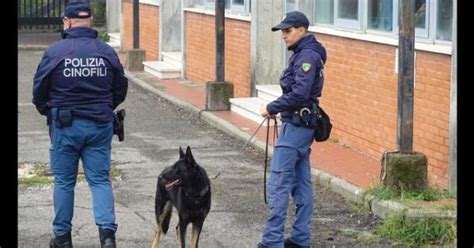 Tre Studenti Accusati Di Spaccio Nelle Scuole Di Orvieto Gazzetta Di