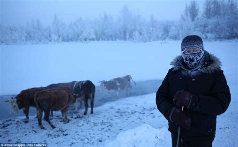 White Wolf : Oymyakon in Siberia: Coldest village on Earth where the temperature can hit -71.2C