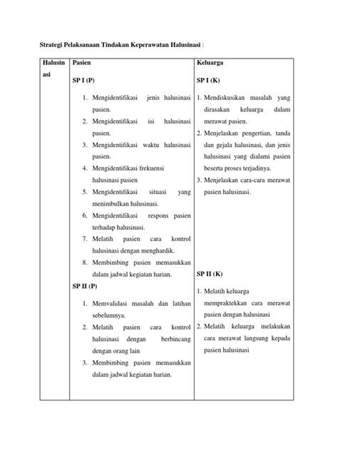 Strategi Pelaksanaan Tindakan Keperawatan Halusinasi Pdf