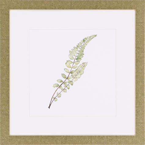 Paragon Watercolor Leaf Study I Watercolor Leaves Painting Frames