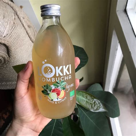 Lokki Kombucha Kombucha Mate Citrus Reviews Abillion