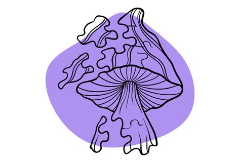 Enigma Magic Mushrooms The Blob Mutation Mushrooms Tripsitter