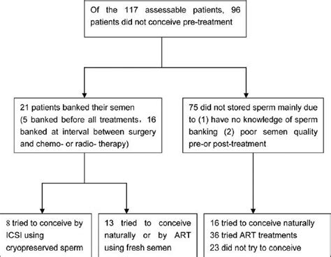 Patients Concerning Sperm Cryopreservation Download Scientific Diagram