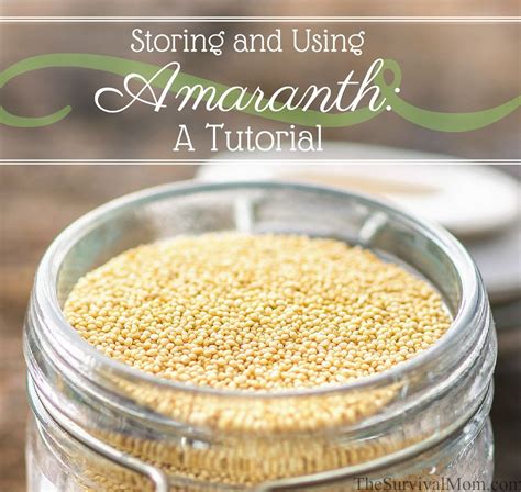 Storing And Using Amaranth A Tutorial Amaranth Food Amaranth Recipes