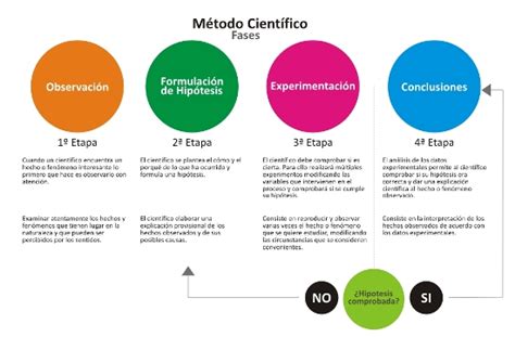 Mapa Conceptual Del Método Científico Método Científico