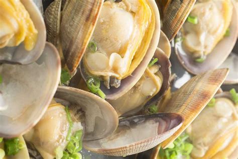 Instant Pot Steamed Clams Corrie Cooks