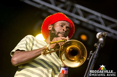 Photos Bunny Wailer In Pessac France Domaine Universitaire