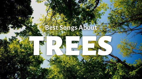 10 Best Songs About Trees Repeat Replay