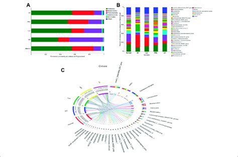 Gut Microbiota Composition Analysis N 5 6 A Bar Plot Of