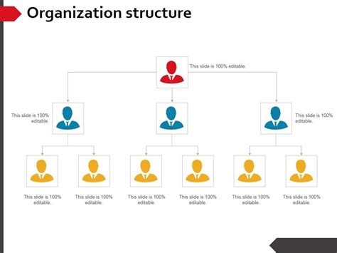 Organization Structure Ppt Powerpoint Presentation Show Graphics Example