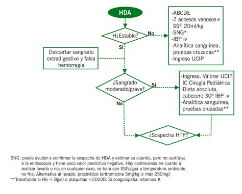 Algoritmo De Imagen Ante Hemorragia Digestiva Baja Aguda En Urgencias