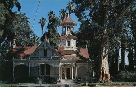 Los Angeles State & County Arboretum Arcadia, CA David Rubinoff Postcard