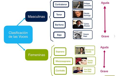 Clasificación De Las Voces Humanas Y Grupos Vocales Clase De Música 20