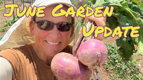 June Garden Tour And Update YouTube