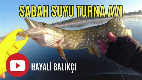 Sabah Suyu Turna Avi Onlarca Balik Yakaladik Youtube