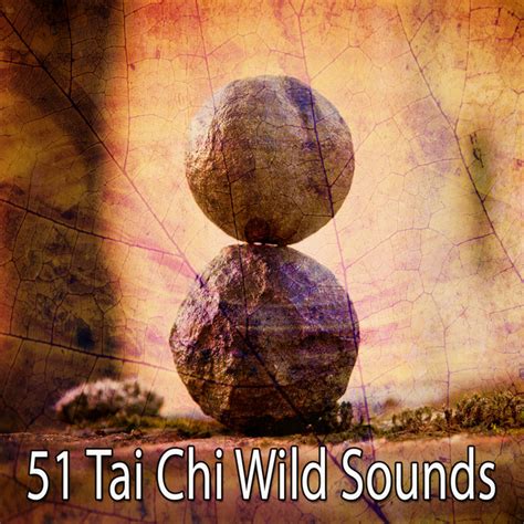 Tai Chi Wild Sounds Album By Yoga Spotify