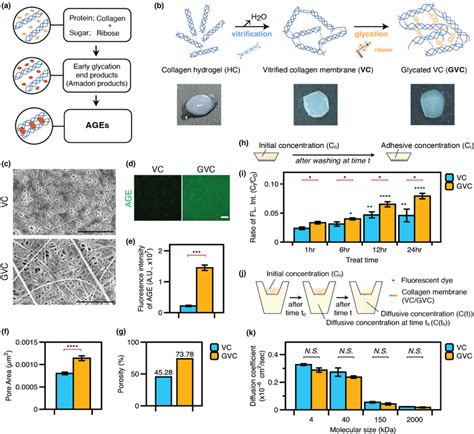 Changes of mechanical function in vitrified collagen membrane by ...