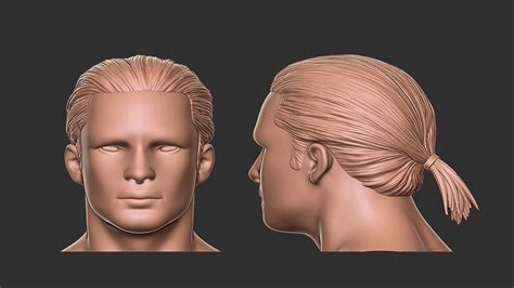 3d Hair 25 Model Turbosquid 1815422