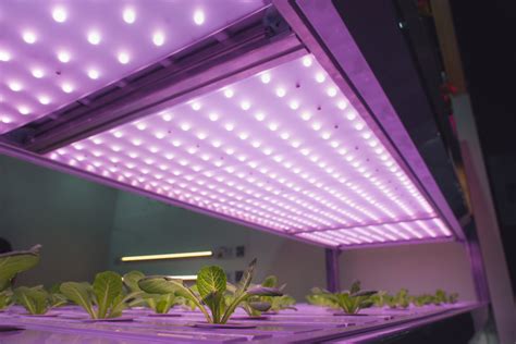 How To Make A Simple Diy Indoor Grow Lights To Start Seeds Best