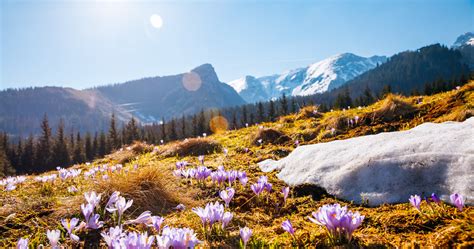 Uwaga Tury Ci Tatrza Ski Park Narodowy Zamyka Popularny Szlak Entrio Pl