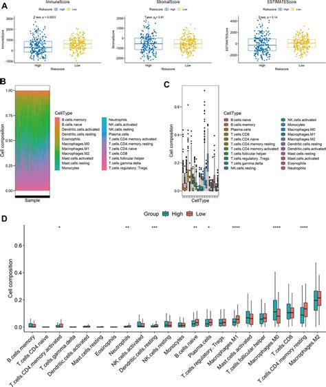 Immune Infiltration Analysis Of 7 Prognostic Genes Based Risk