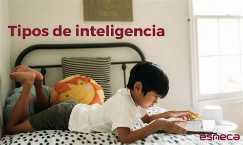 Tipos De Inteligencia ¿en Qué Consisten Las 12 Clases De Intelecto