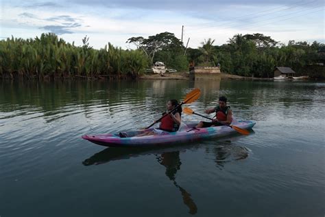 보홀 아바탄 반딧불 투어 3시간 Bohol Abatan Firefly Tour Travelforest 트래블포레스트